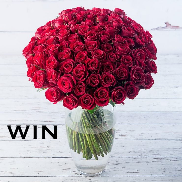 Red Roses Winning Win 50 roses for Valentine's from Appleyard Flowers » The MALESTROM