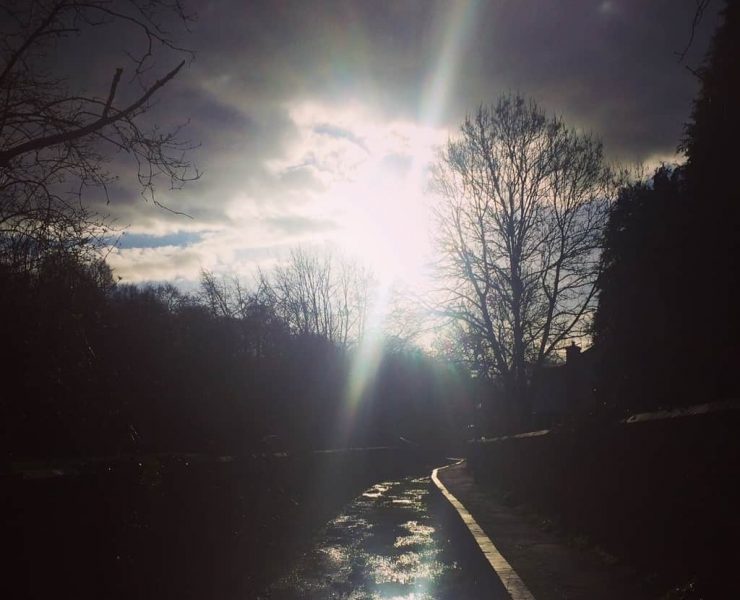 A photograph of the sun setting over a river in the woods
