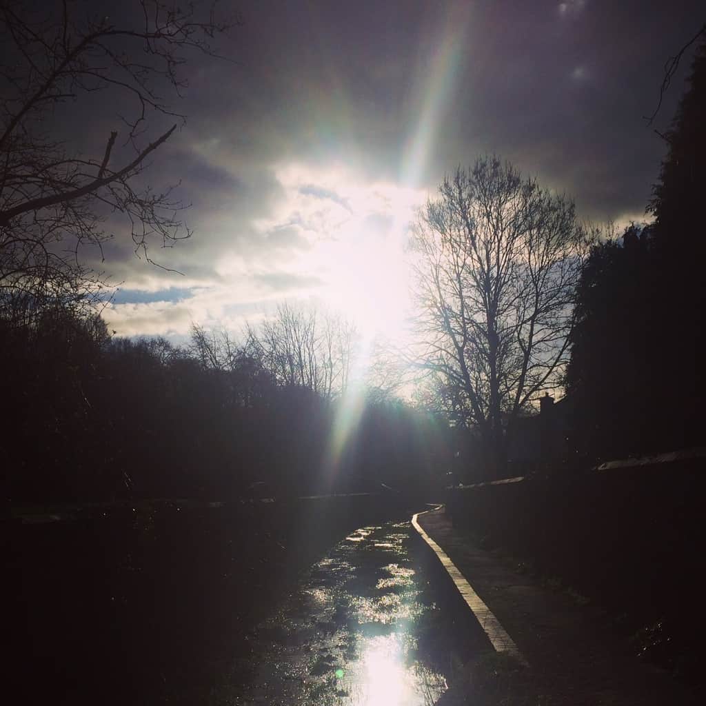 A photograph of the sun setting over a river in the woods