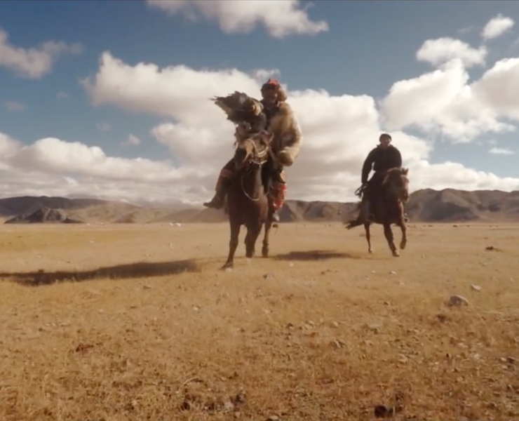 A mongolian on horseback hunting with an eagle