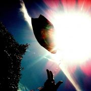 Whyte Horses by Jon Shard