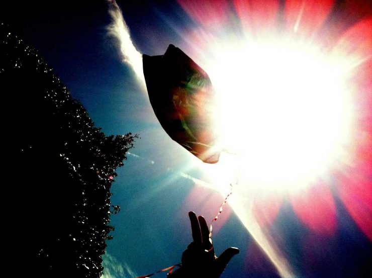 Whyte Horses by Jon Shard