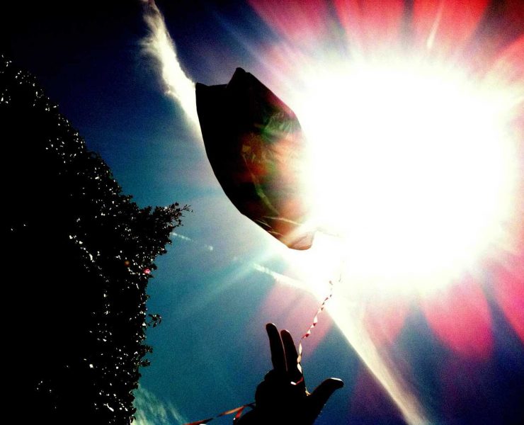 Whyte Horses by Jon Shard