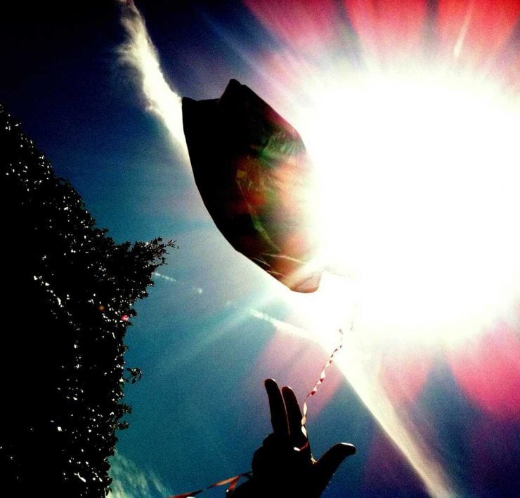 Whyte Horses by Jon Shard