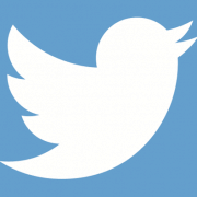 The twitter logo image of a bird