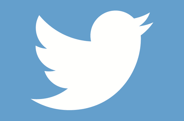 The twitter logo image of a bird