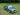 A green Audi Quattro sits on a patch of grass