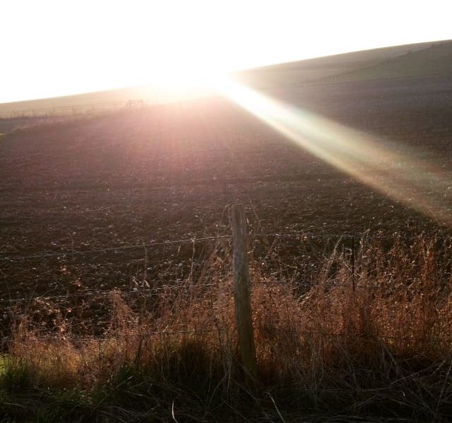 A picture of a barren field with a barbed wire fence in front of it. The sun pokes up in the back of the shot sending flares of sunlight into the East section of the field