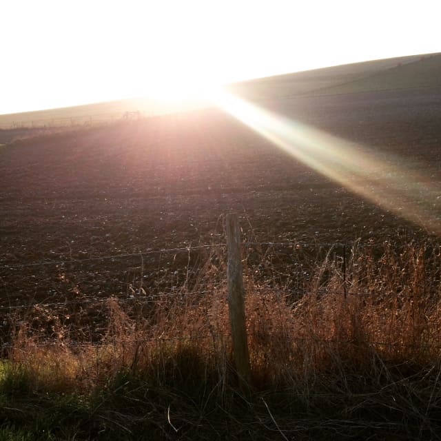 A picture of a barren field with a barbed wire fence in front of it. The sun pokes up in the back of the shot sending flares of sunlight into the East section of the field