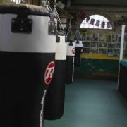 A row of heavy bags in a boxing gym