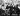 The band Pink Flord sit on a bench in a 70s black and white picture with their hands over their eyes