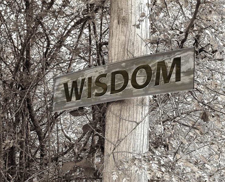 A wooden post in front of tree branches. A sign on the post reads 'Wisdom'