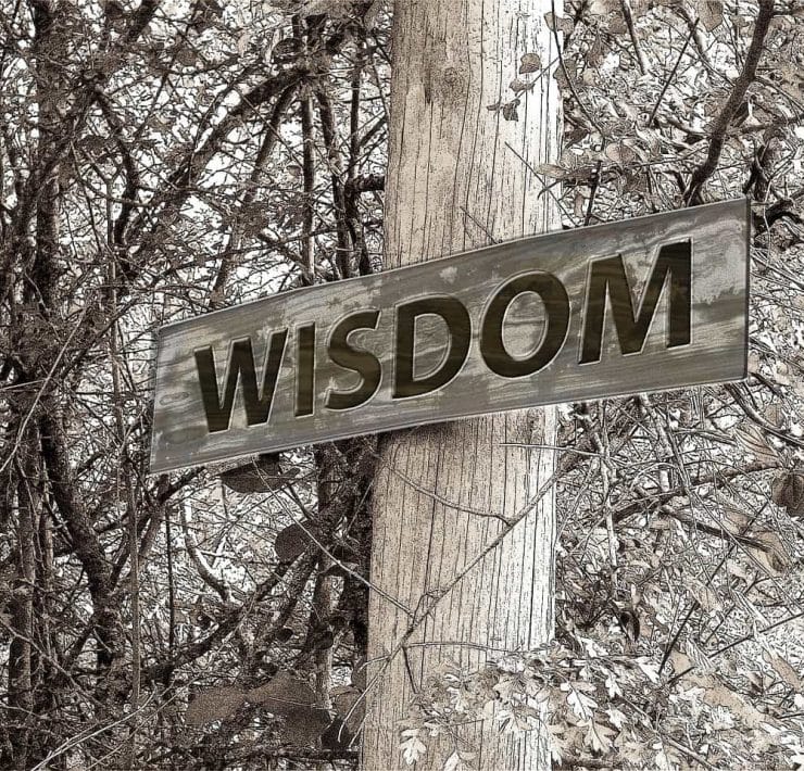 A wooden post in front of tree branches. A sign on the post reads 'Wisdom'