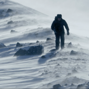 Ghosts of the Arctic