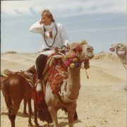 Sting on a camel in Cairo