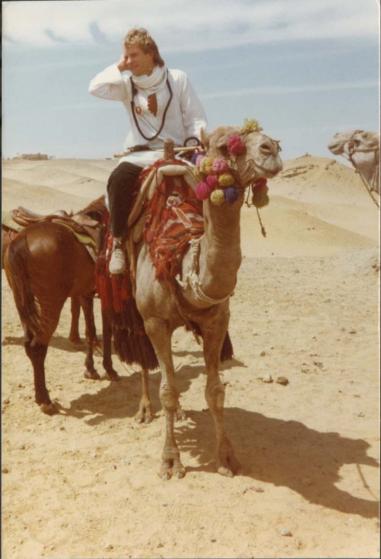 Sting on a camel in Cairo