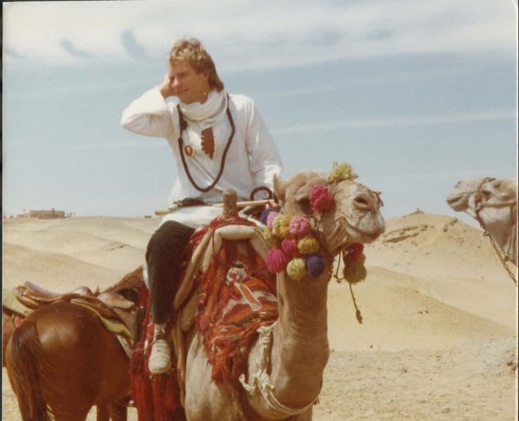 Sting on a camel in Cairo