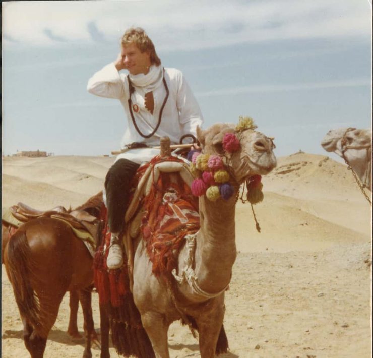 Sting on a camel in Cairo