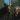 Gordon Buchanan sat alongside a Black Bear