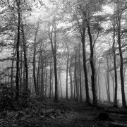 Supernatural Britian