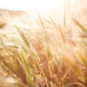 Dr Sara Kyat talks men's health