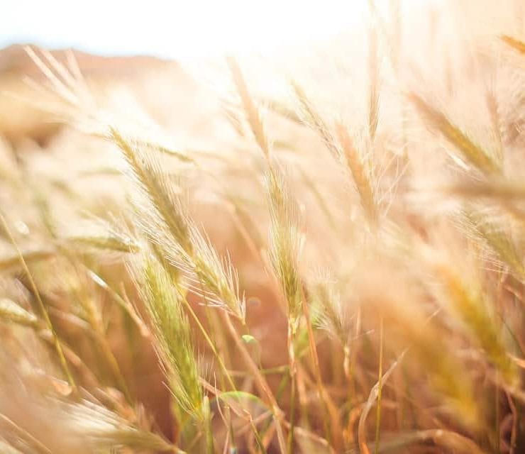 Dr Sara Kyat talks men's health