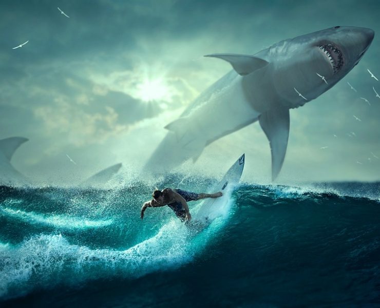 illustration of a big shark jumping from water near a surfer