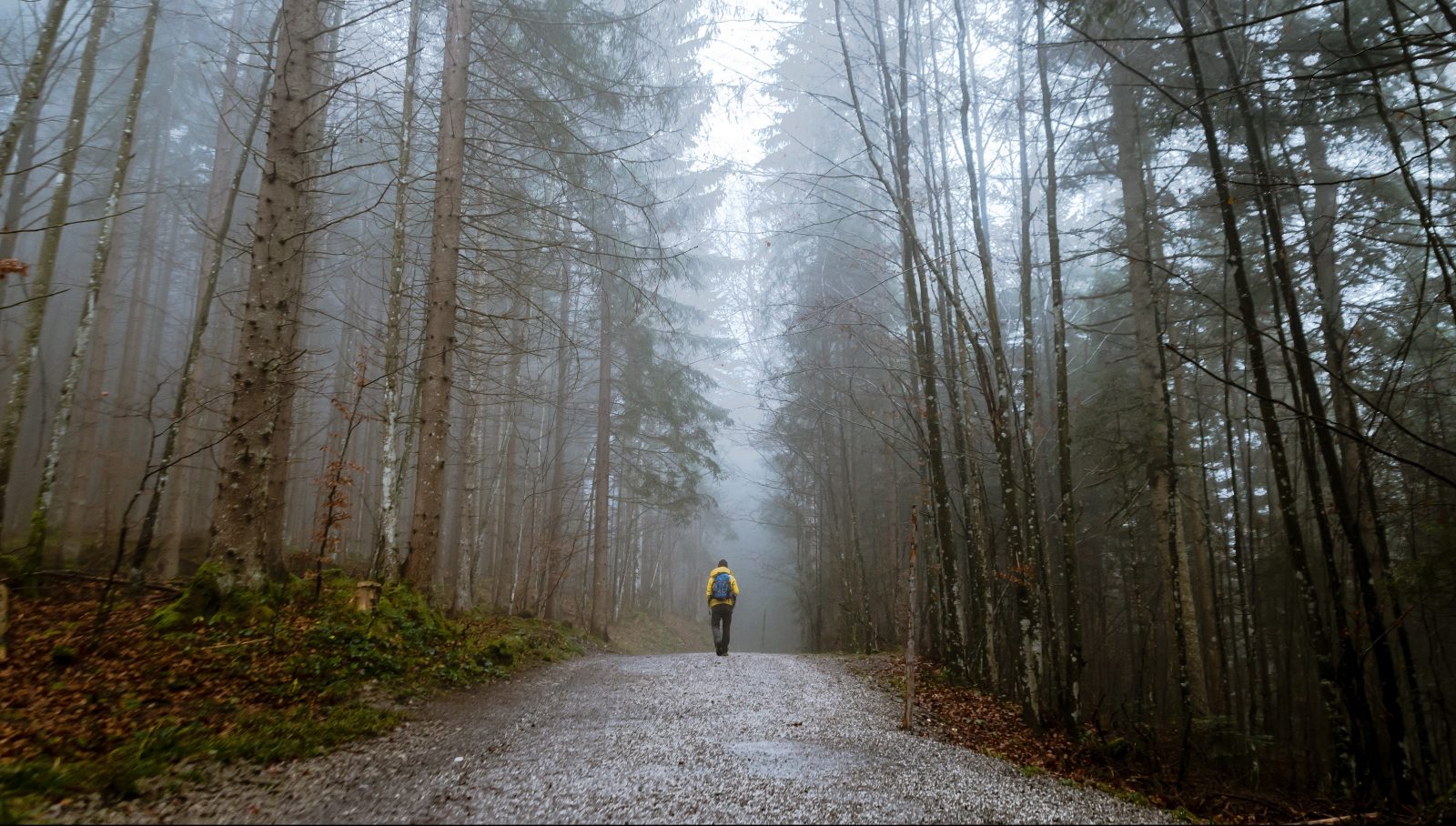 man walking through forest