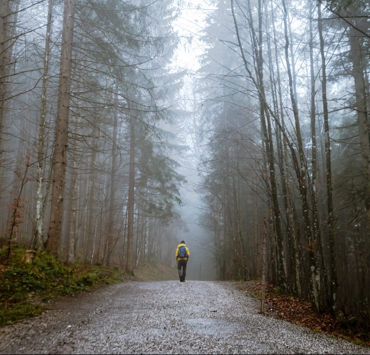 man walking through forest