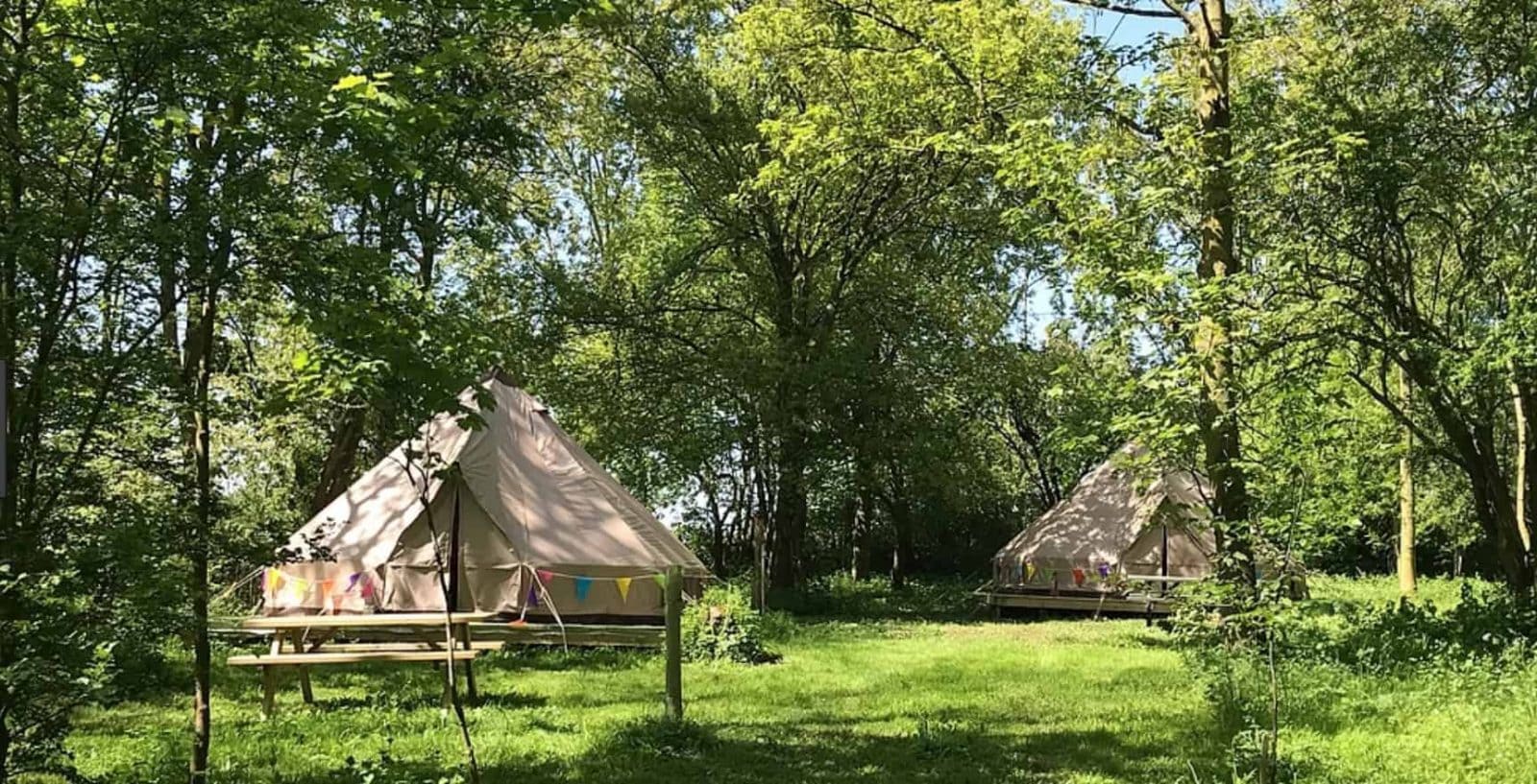 A bell tent hidden in the woods