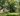 A bell tent hidden in the woods