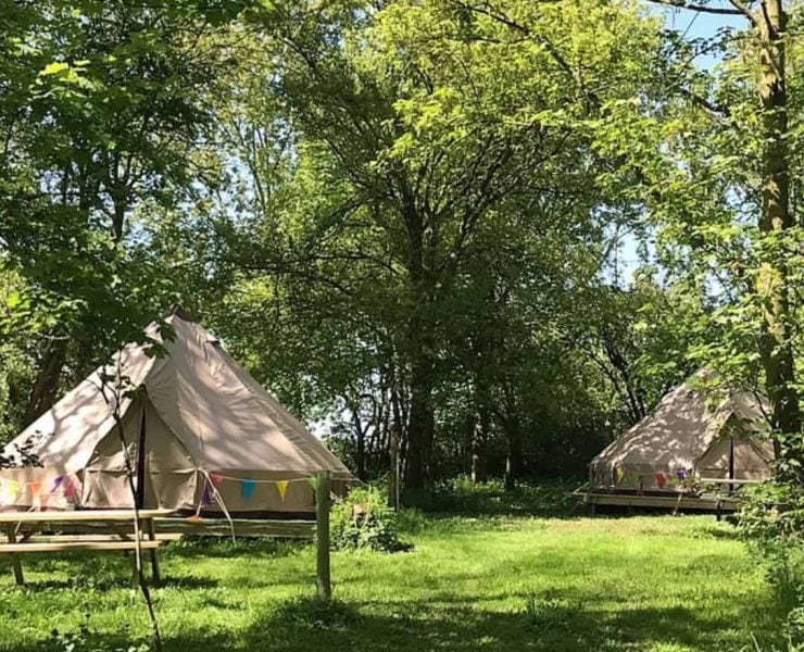 A bell tent hidden in the woods