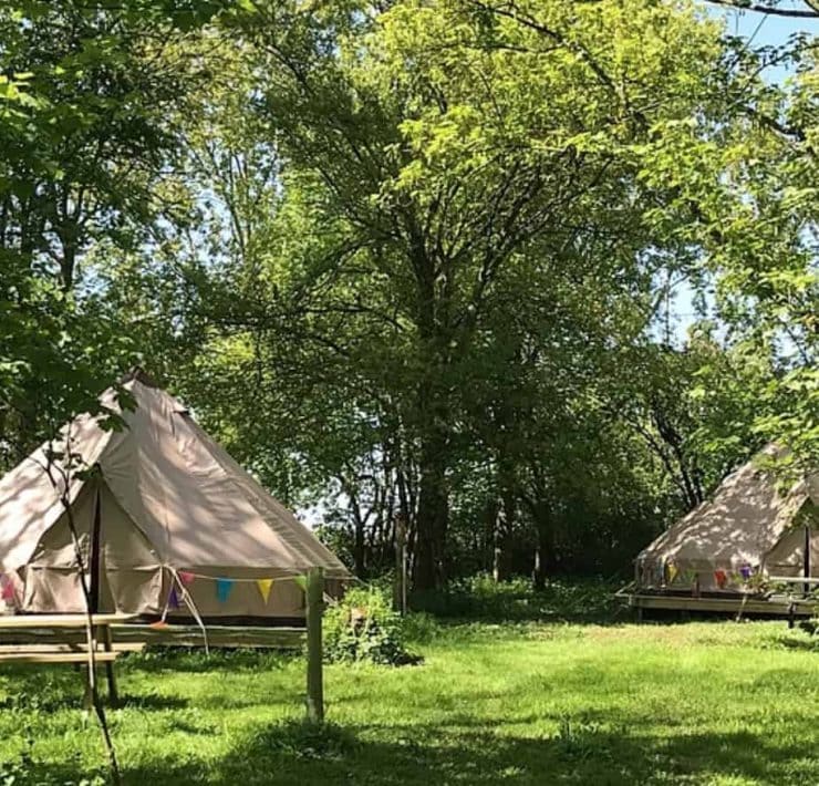 A bell tent hidden in the woods