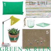 Green interior style selected items