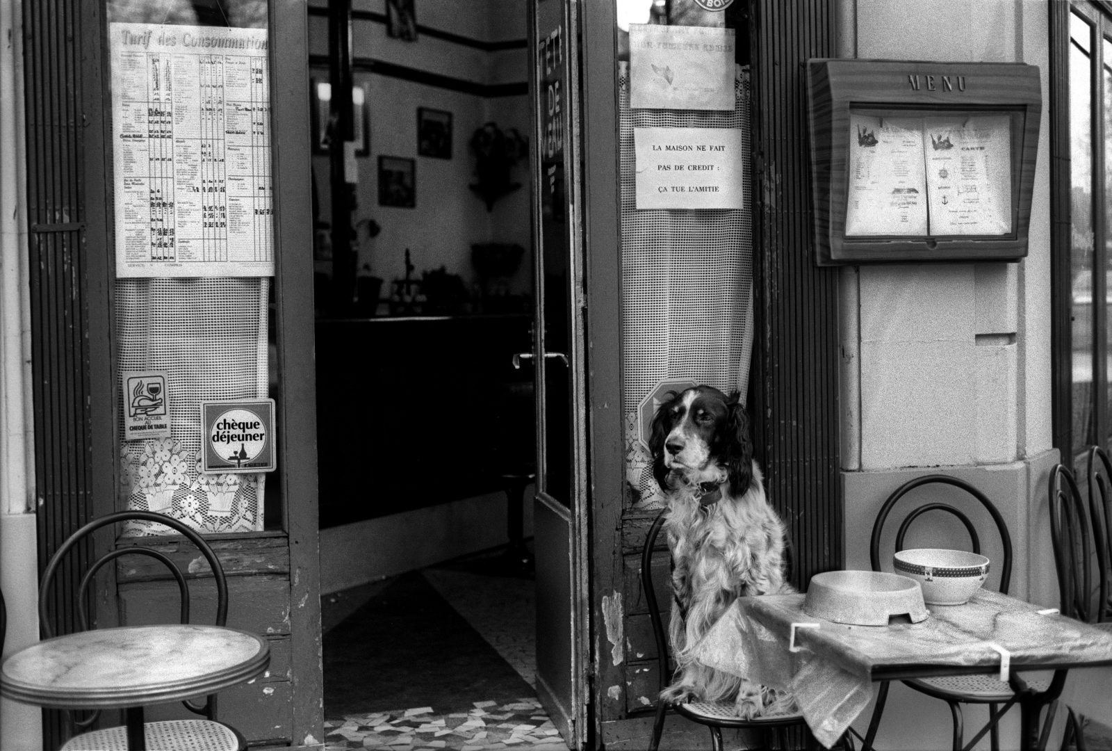 dog outside a restaurant