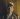 Musician Tyler Childers