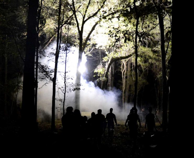 Zombie Apocalypse in a forest