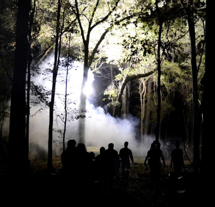 Zombie Apocalypse in a forest