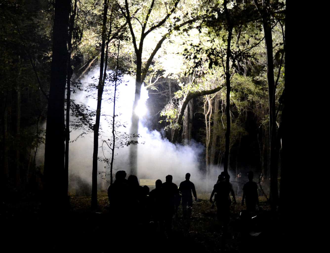 Zombie Apocalypse in a forest