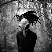 bird skull in the woods