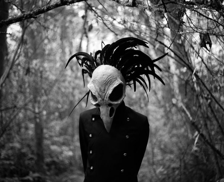 bird skull in the woods