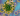 Coronavirus cells