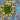 Coronavirus cells