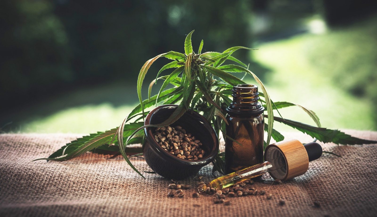 cbd oil