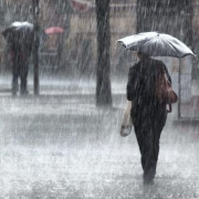 heavy rain and brollys