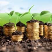 coins in soil spouting plants