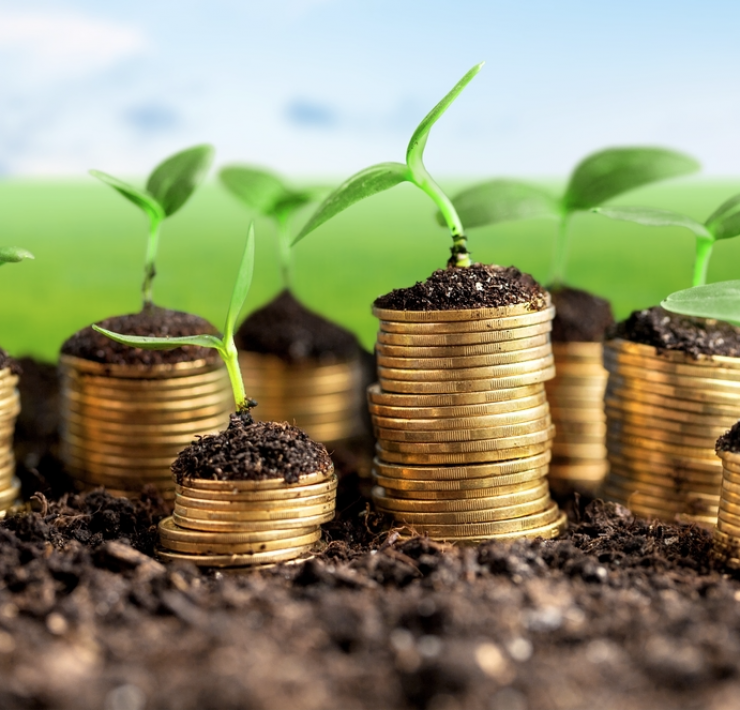 coins in soil spouting plants