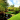 augusta National golf course