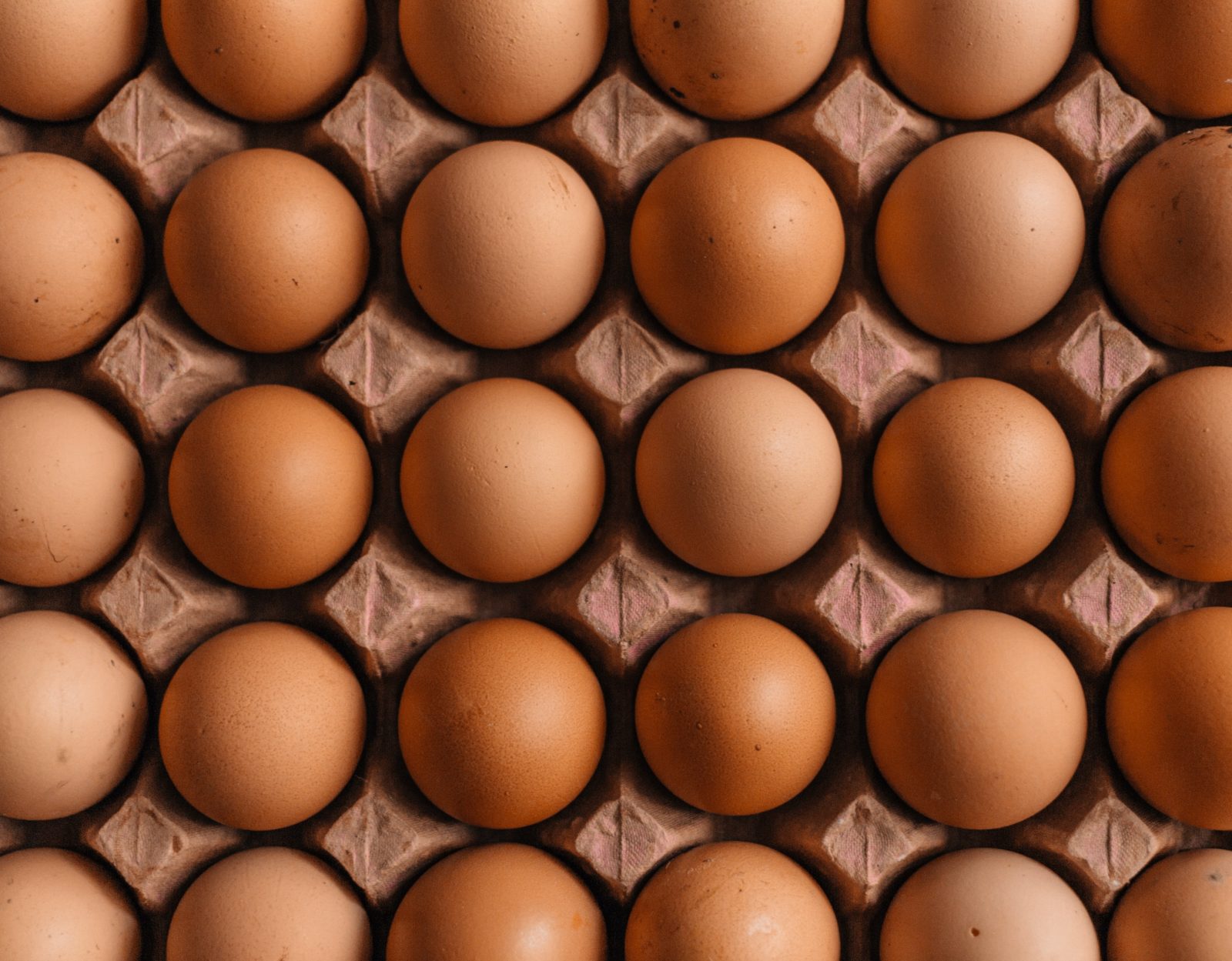 Eggs in a box viewed from above