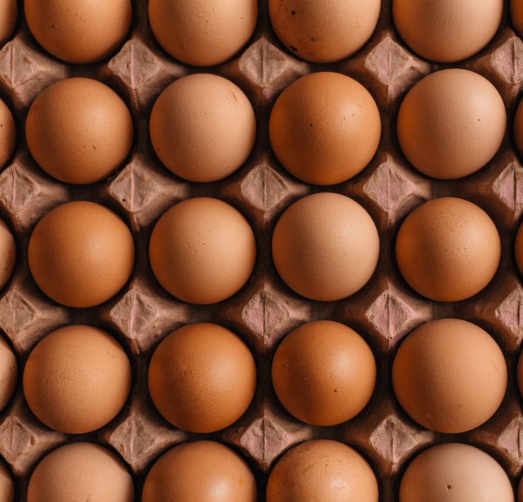 Eggs in a box viewed from above